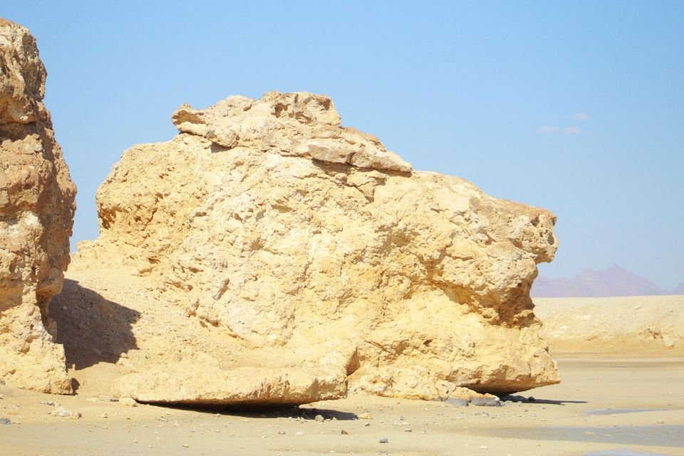 [رأس محمد] جولة جماعية بالحافلة