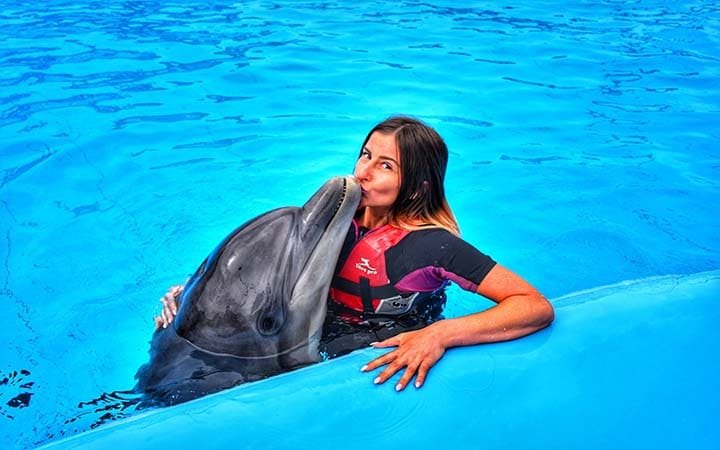 Купание с дельфинами