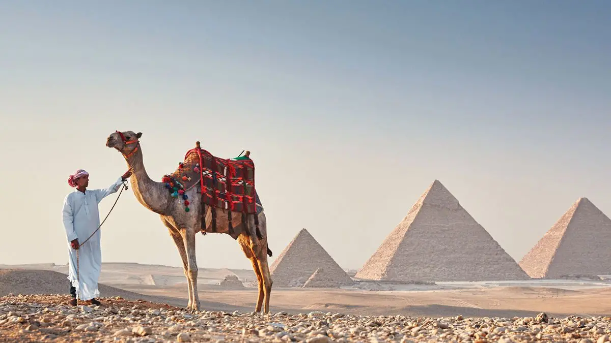 Cairo and Alexandria from Sharm (bus) 2 days