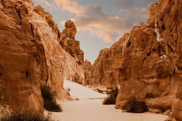 LOST LAND FROM SHARM EL-SHEIKH: Canyon, Boat Ride, and Safari