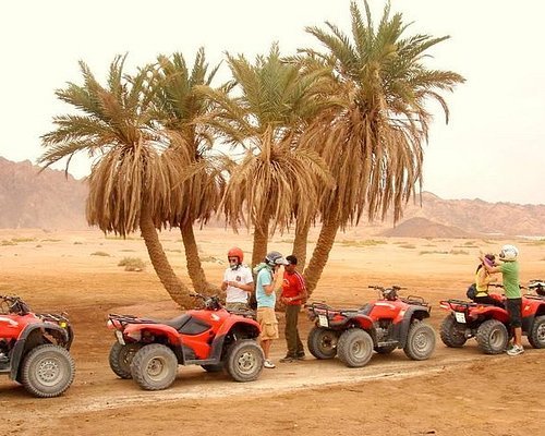 5 في 1 - وادي دهب + سفاري رباعيات + جولة على الجمال + ثلاث برك من شرم الشيخ