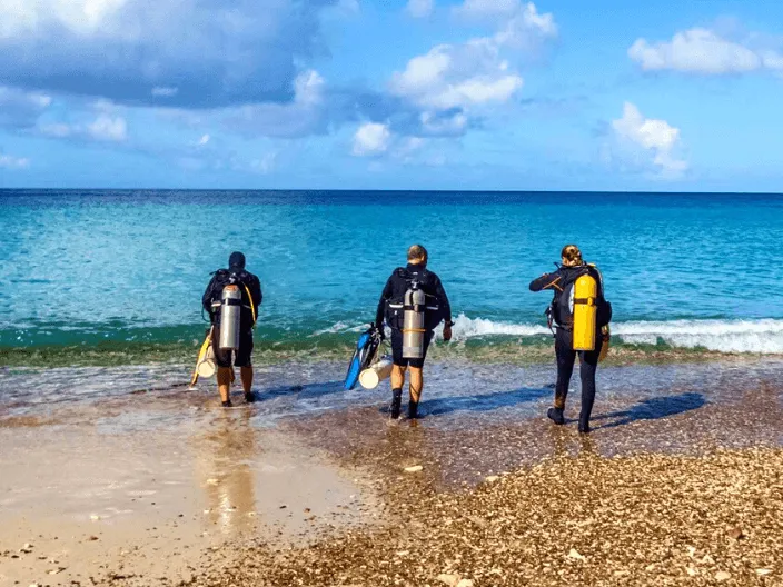 Дайвинг с берега в Шарм-Эль-Шейхе