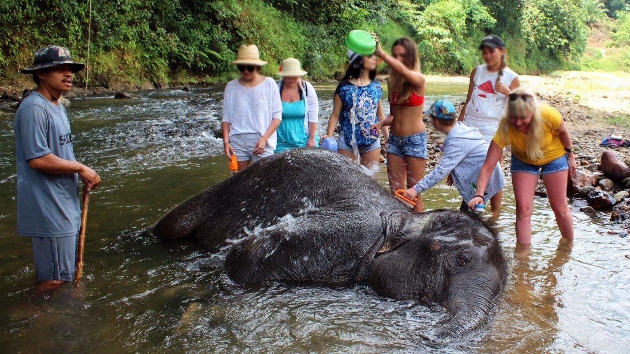 Avatar World + Hot Springs