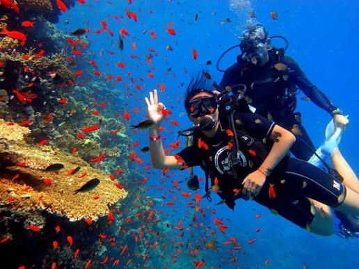 [Ras Mohammed] Yacht VIP a 4 ponti “Maldive Egiziane” «Engy Queen» con possibilità di diving