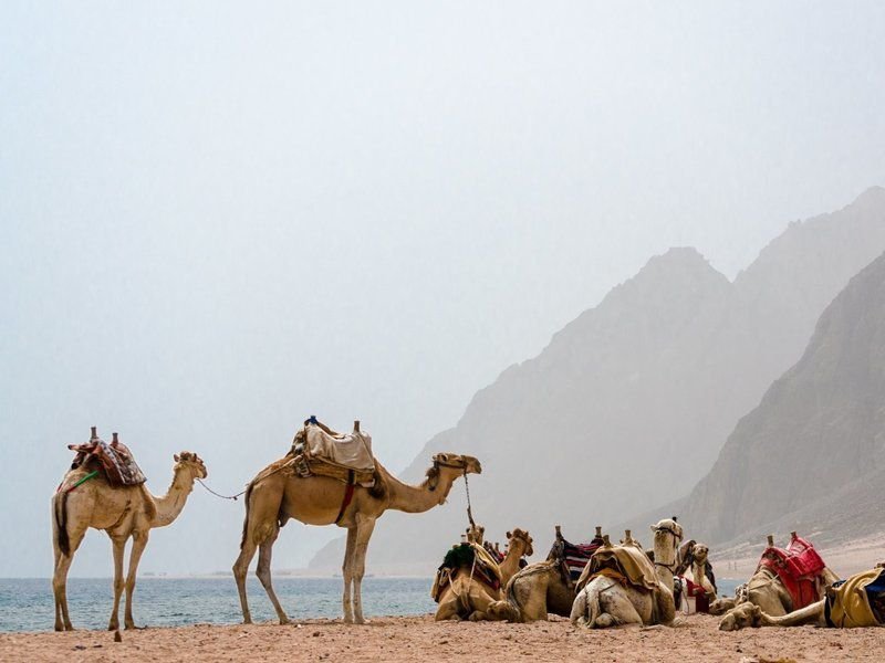 5 в 1 — каньон Салама Колор + три бассейна + катание на верблюдах + Дахаб + катание на квадроциклах из Шарм-эль-Шейха