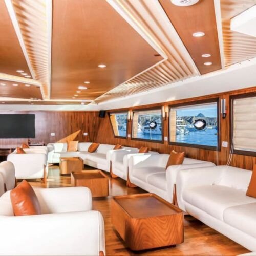 ميغا كروز مع عشاء على يخت فاخر