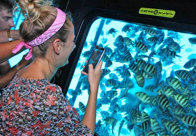 Batiscafo a Sharm (semi-sottomarino)