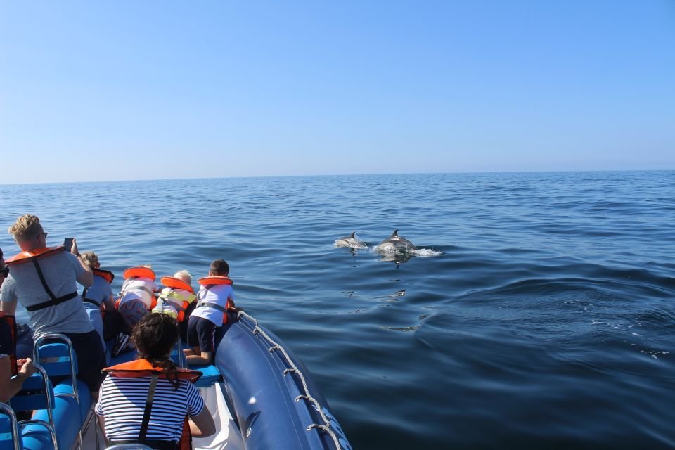 DOLPHINS HOUSE, PRIVATE SPEEDBOAT TOUR TO TIRAN ISLAND IN SHARM EL-SHEIKH