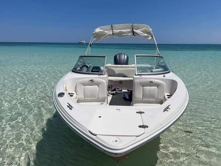 DOLPHINS HOUSE, PRIVATE SPEEDBOAT TOUR TO TIRAN ISLAND IN SHARM EL-SHEIKH