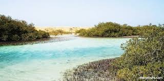 ИНДИВИДУАЛЬНЫЙ тур на озеро желаний и Залив барракуды в [Национальном парке Рас Мухамед]