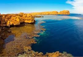 ИНДИВИДУАЛЬНЫЙ тур на озеро желаний и Залив барракуды в [Национальном парке Рас Мухамед]