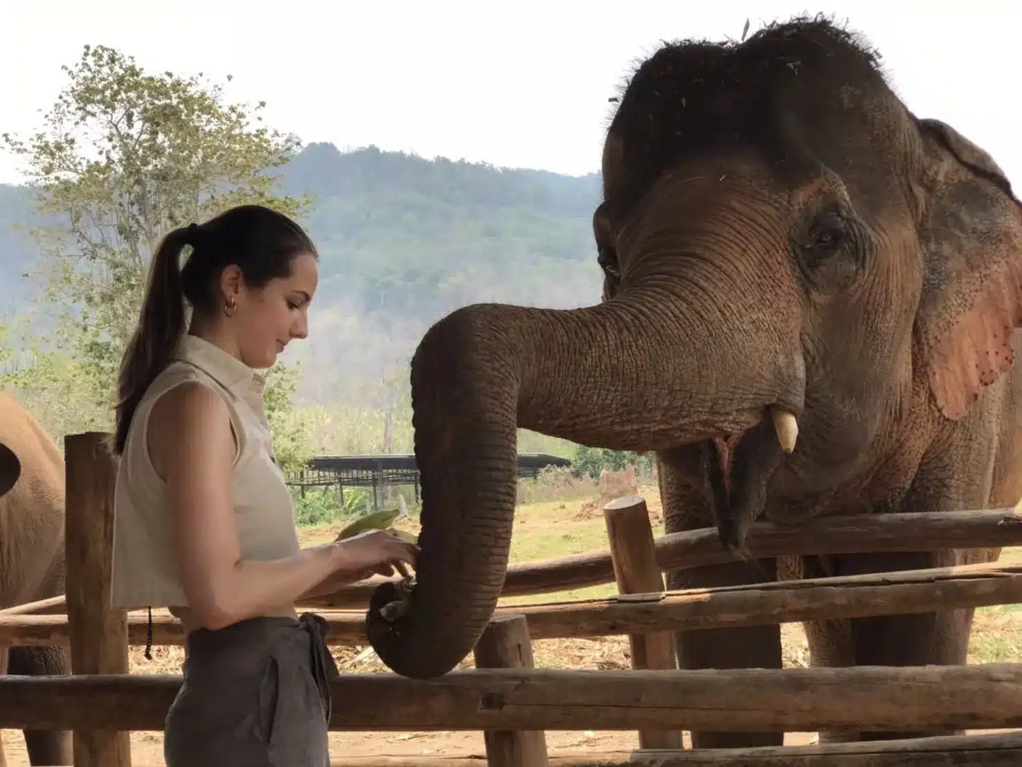 Обзорная экскурсия по городу Пхукету Без Шоппинга