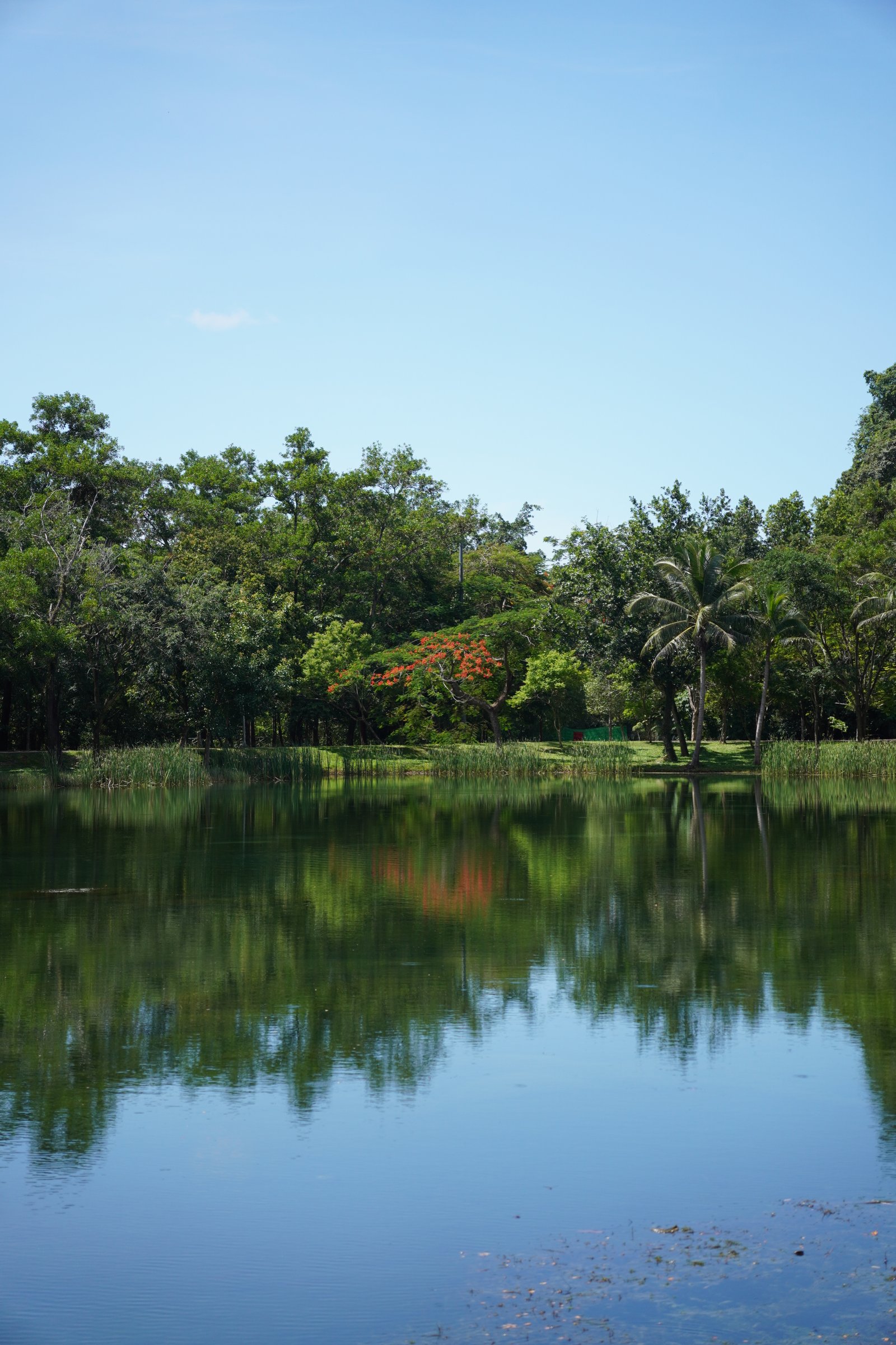 Рафтинг на Пхукете с Англоязычным гидом