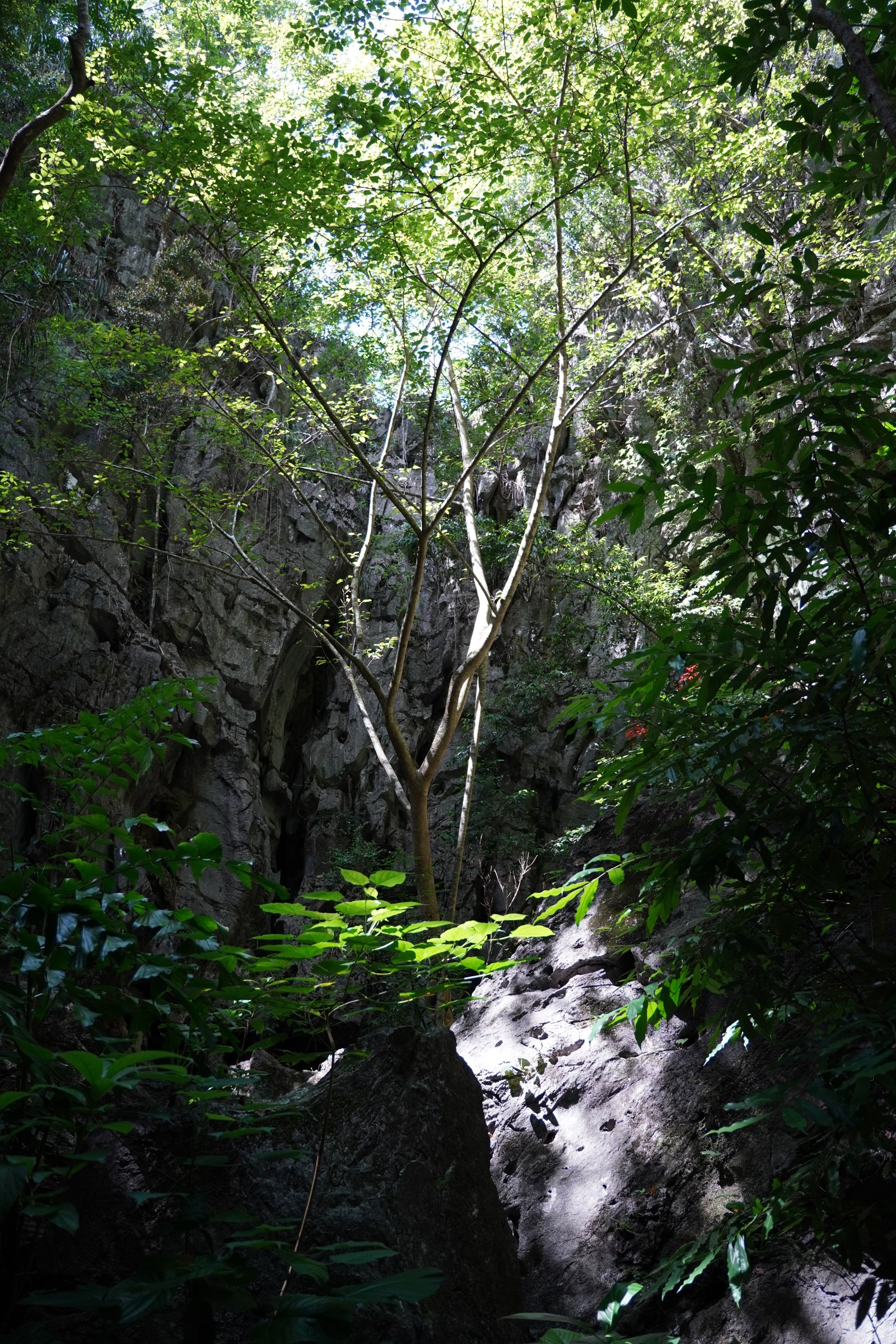 Рафтинг на Пхукете с Англоязычным гидом