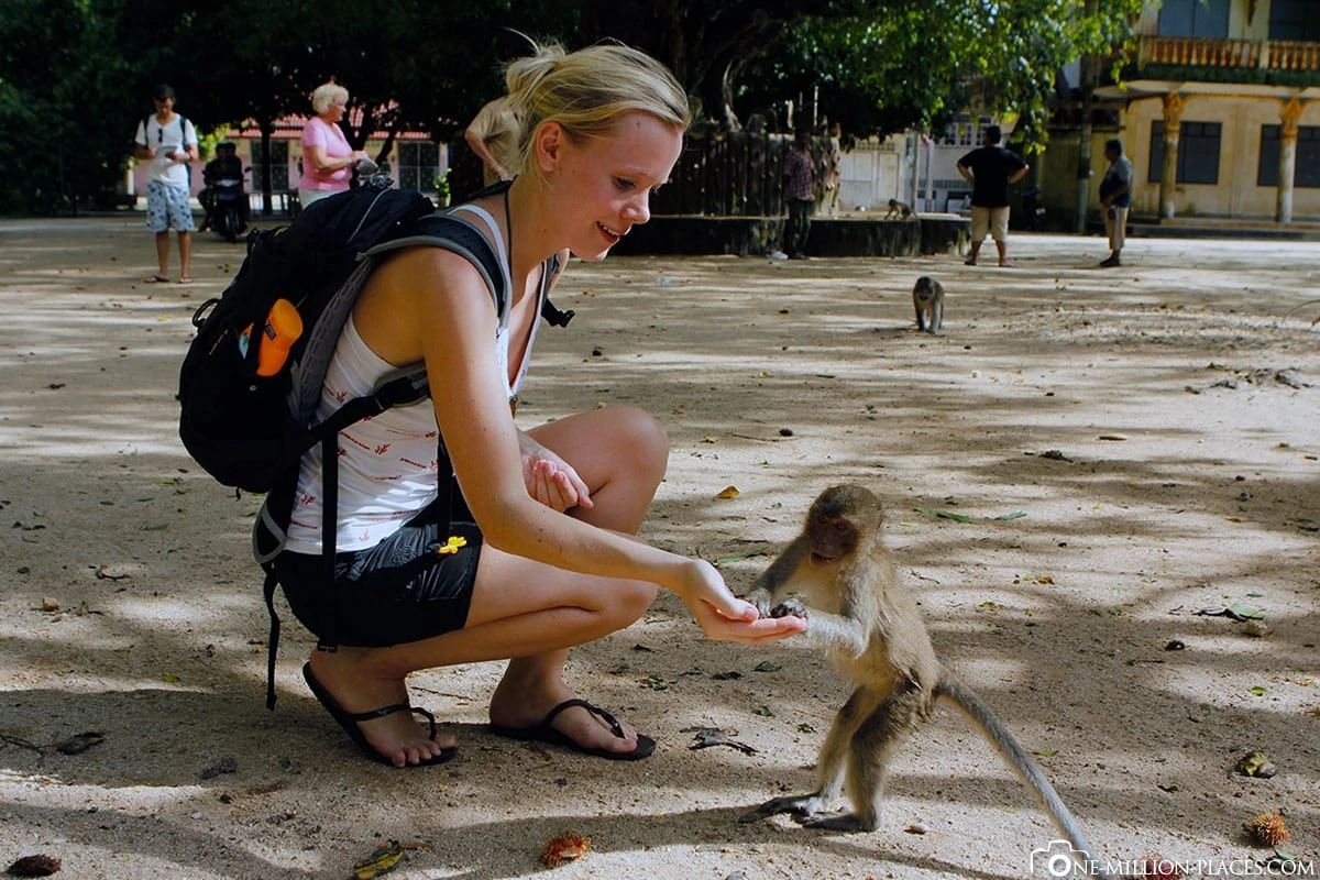 طريق أفاتار: فانغ نغا المذهلة
