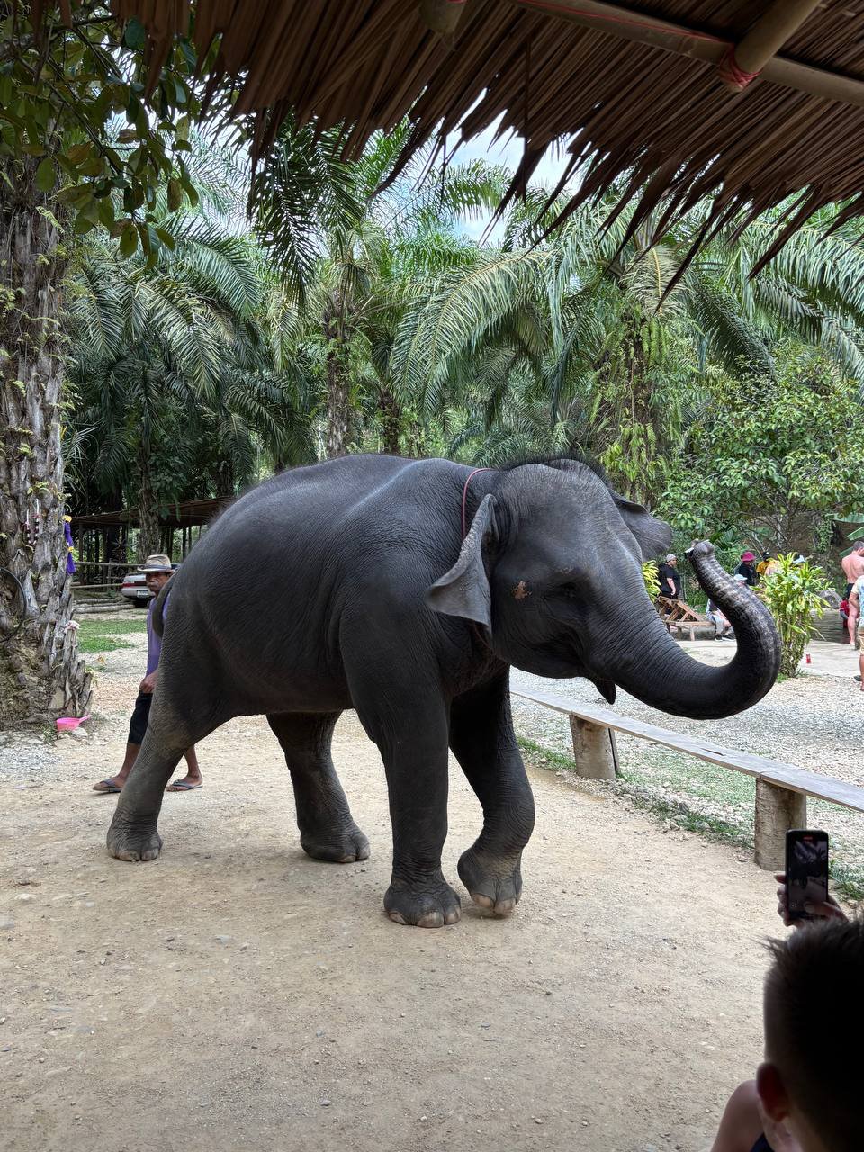 طريق أفاتار: فانغ نغا المذهلة