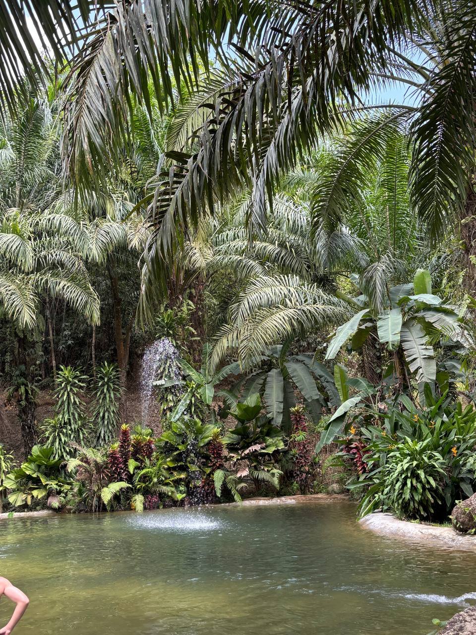 Avatar World + Hot Springs