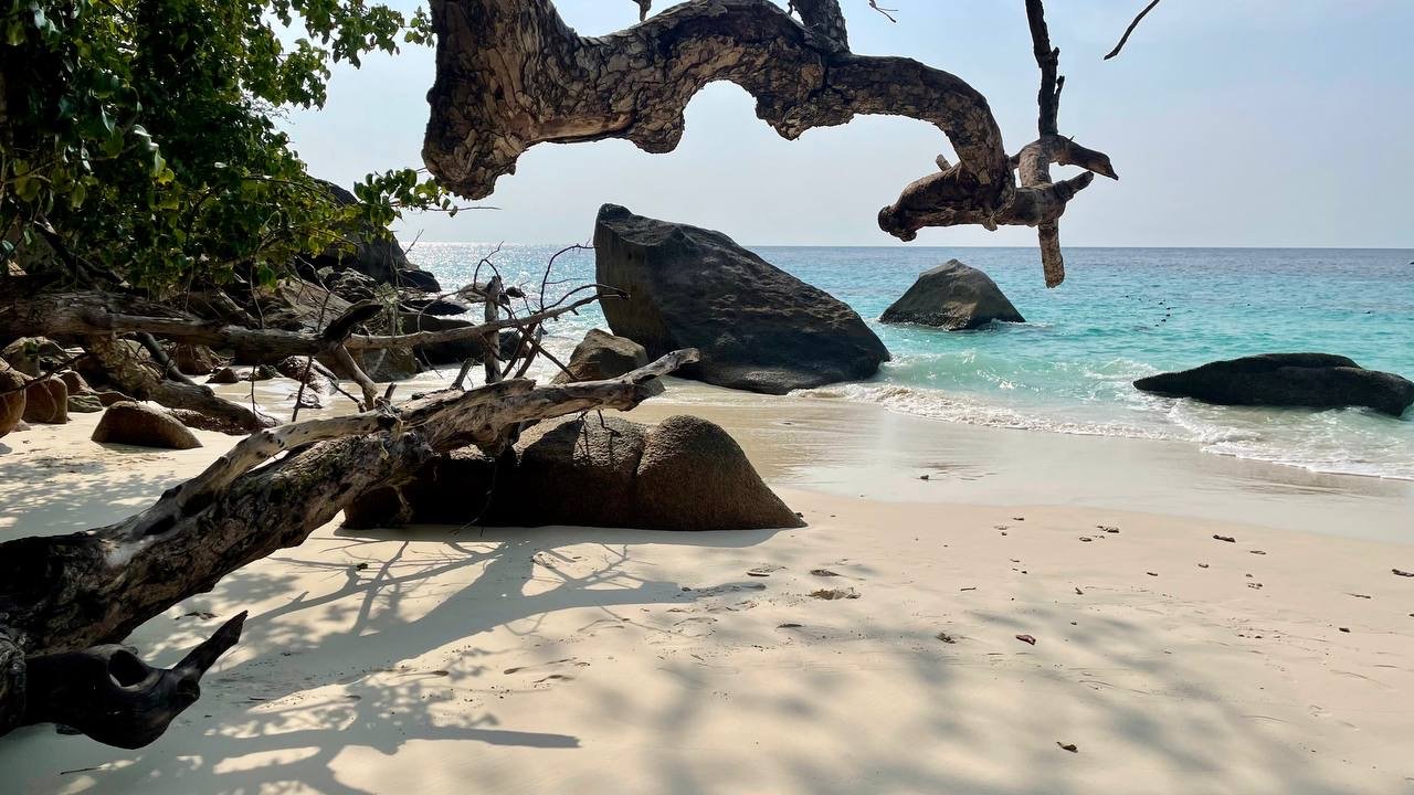 Similan Islands at Sunrise by Speedboat with Russian-Speaking Guide
