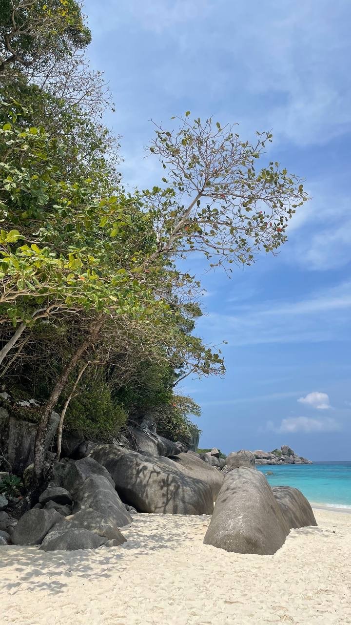 Similan Islands at Sunrise by Speedboat with Russian-Speaking Guide