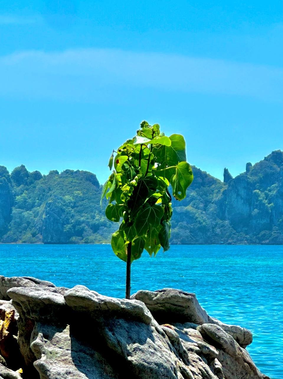 Similan Islands at Sunrise by Speedboat with Russian-Speaking Guide