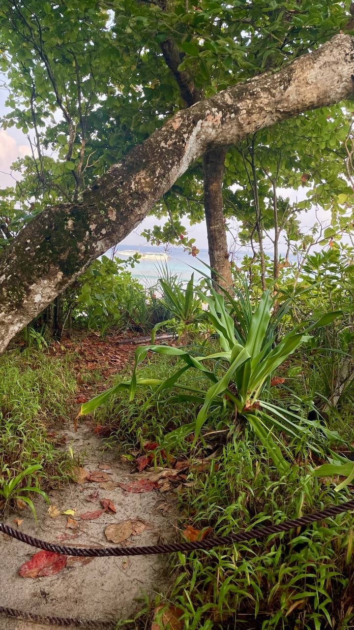 Симиланские острова На катамаране