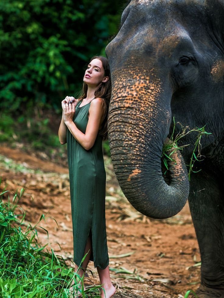 Катание на слонах на Пхукете