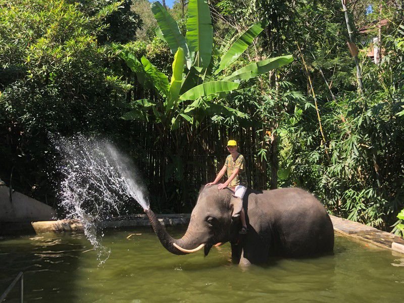 Катание на слонах на Пхукете