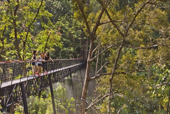 Zipline in Phuket. HANUMAN WORLD Rope Park