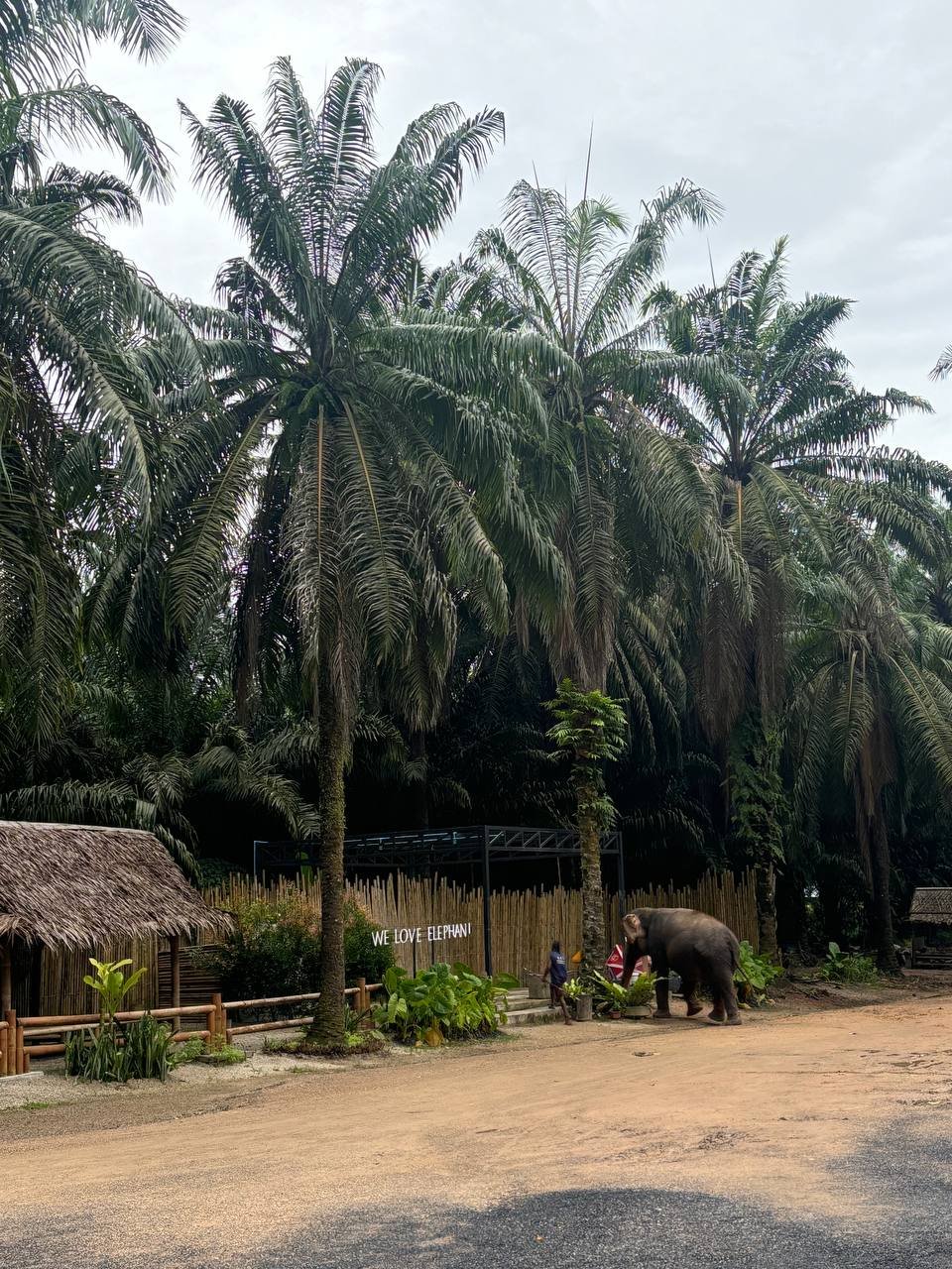 Тайны Краби