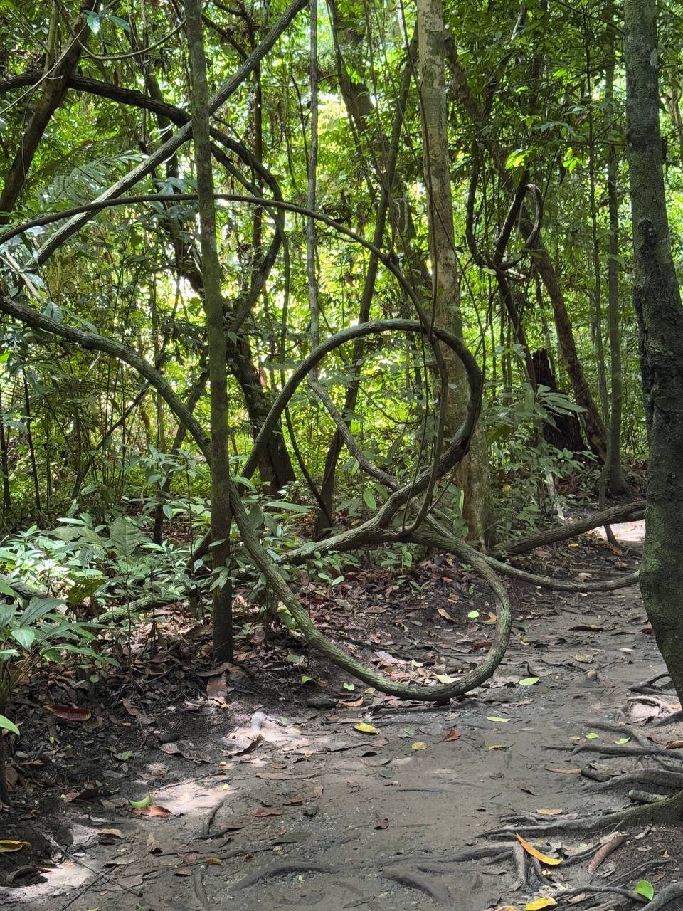 Тайны Краби