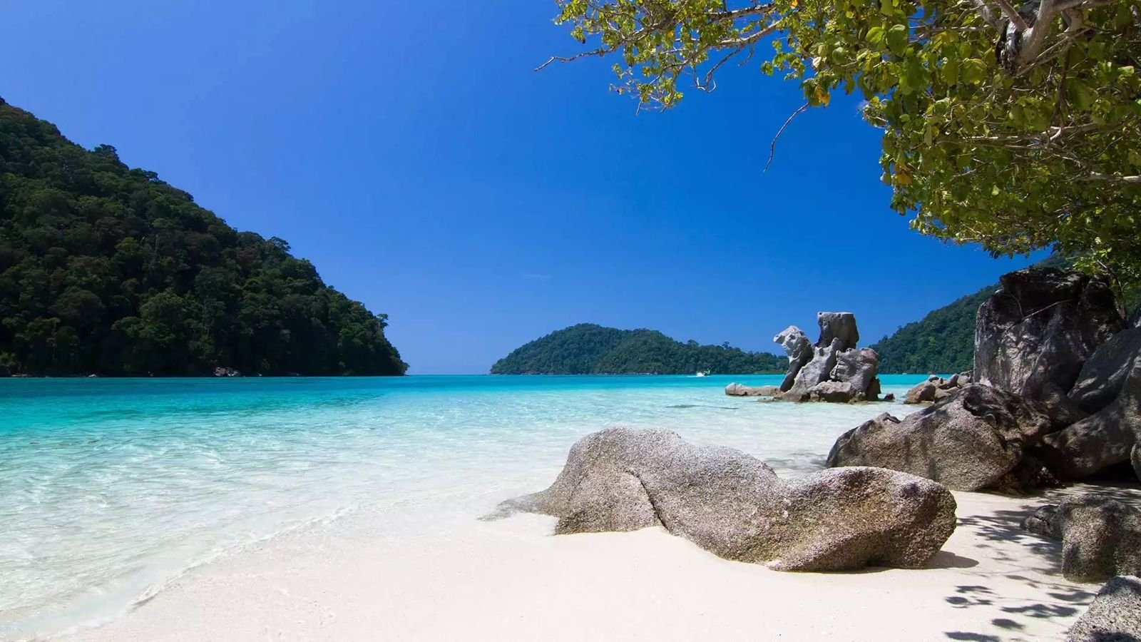 جزيرة سورين: يومان مع مبيت