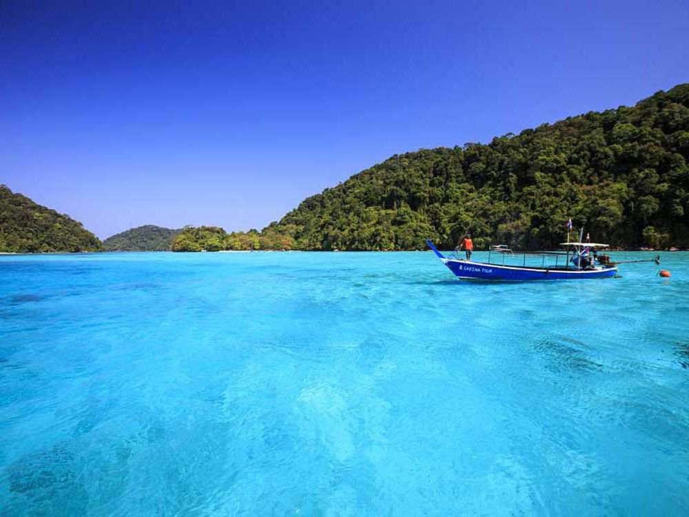 جزيرة سورين: يومان مع مبيت