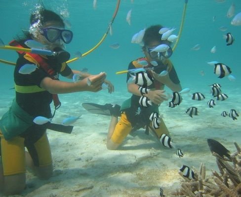 Дайвинг на Пхукете