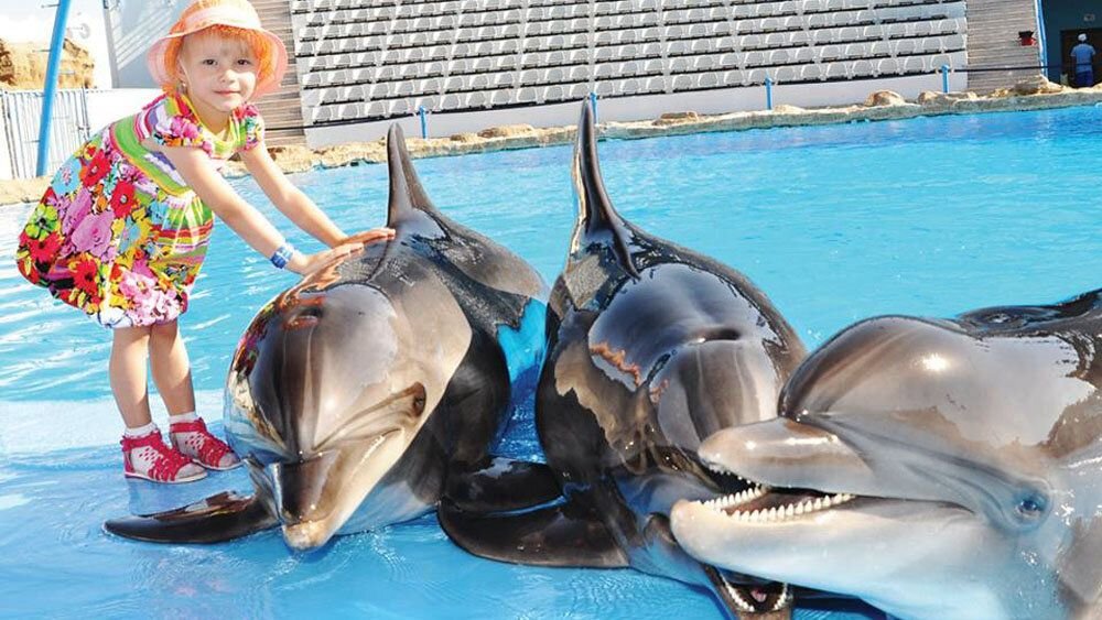 Delfinario a Hurghada