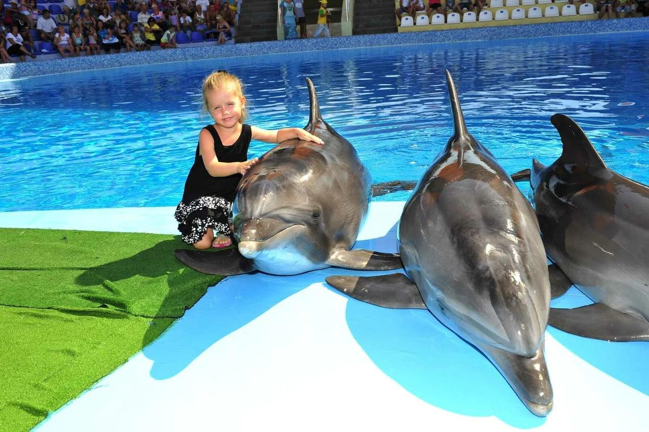 Delfinario a Hurghada