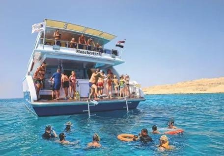 Дом дельфинов в Хургаде