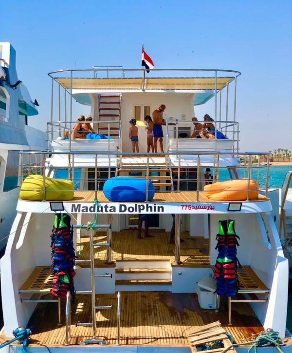 Дом дельфинов в Хургаде