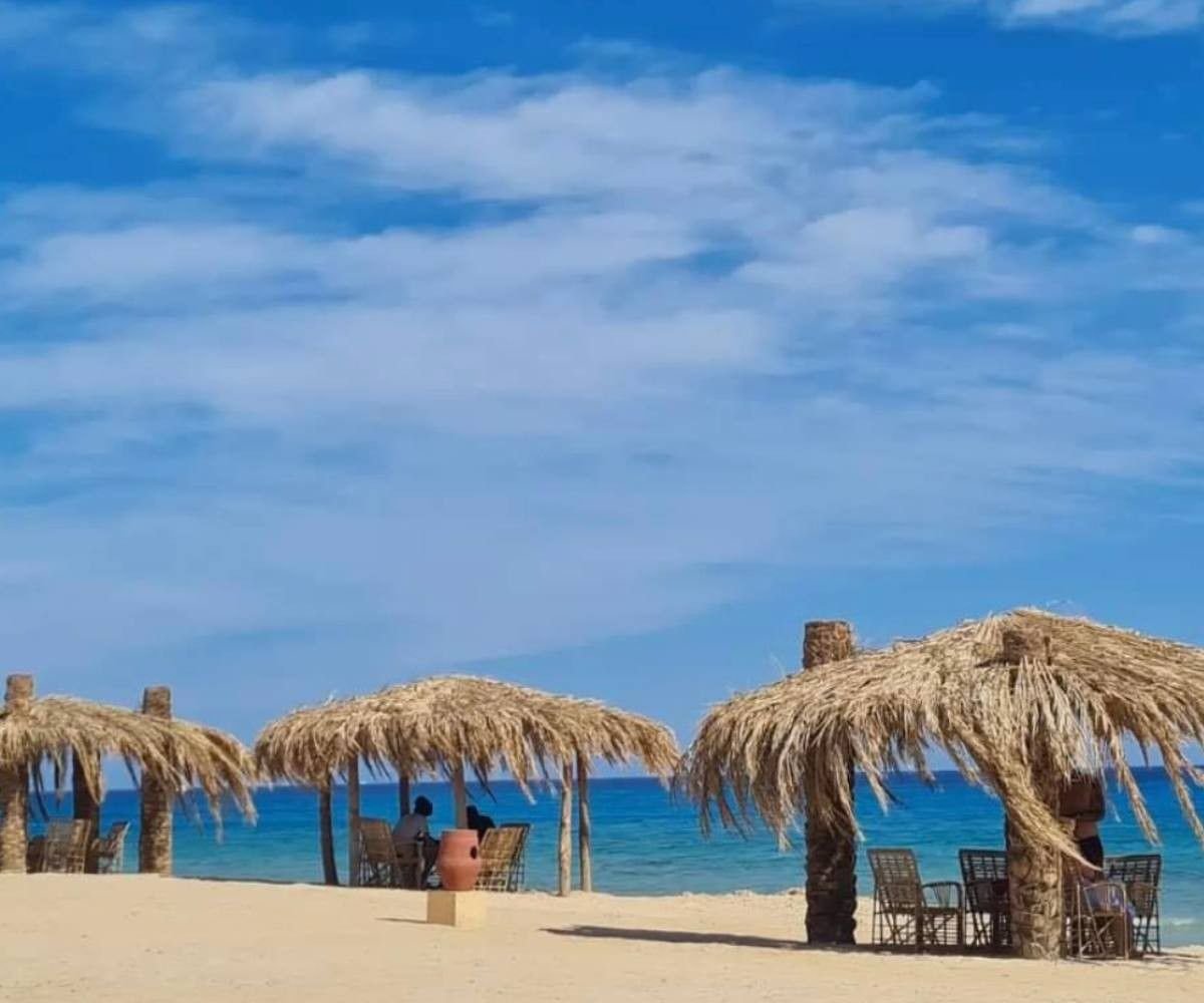 جزيرة مجاويش