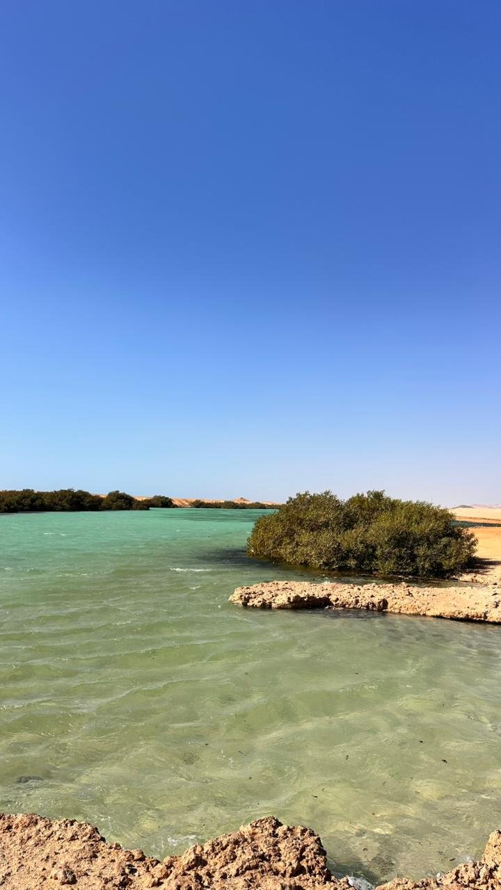 Ras Mohammed Camping — Overnight Desert Stay by the Red Sea