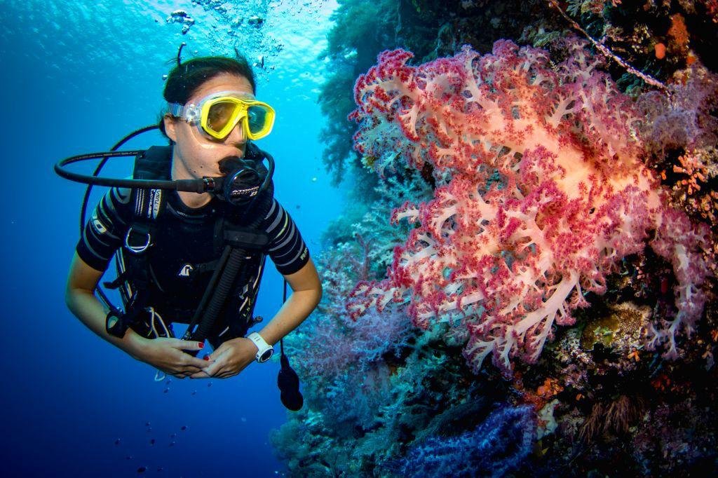 5-in-1 Sea Trip: Diving, Snorkeling, Massage, Lunch, Banana Ride in Hurghada
