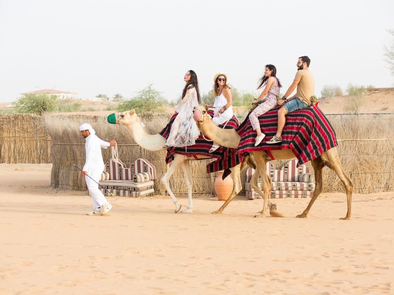 سفاري "حكاية شرقية": خيول وجِمال من الغردقة