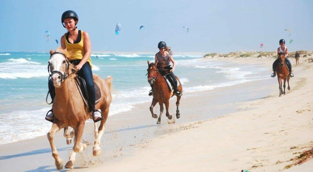 سفاري "حكاية شرقية": خيول وجِمال من الغردقة