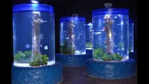 رحلة إلى جراند أكواريوم الغردقة