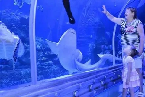 رحلة إلى جراند أكواريوم الغردقة