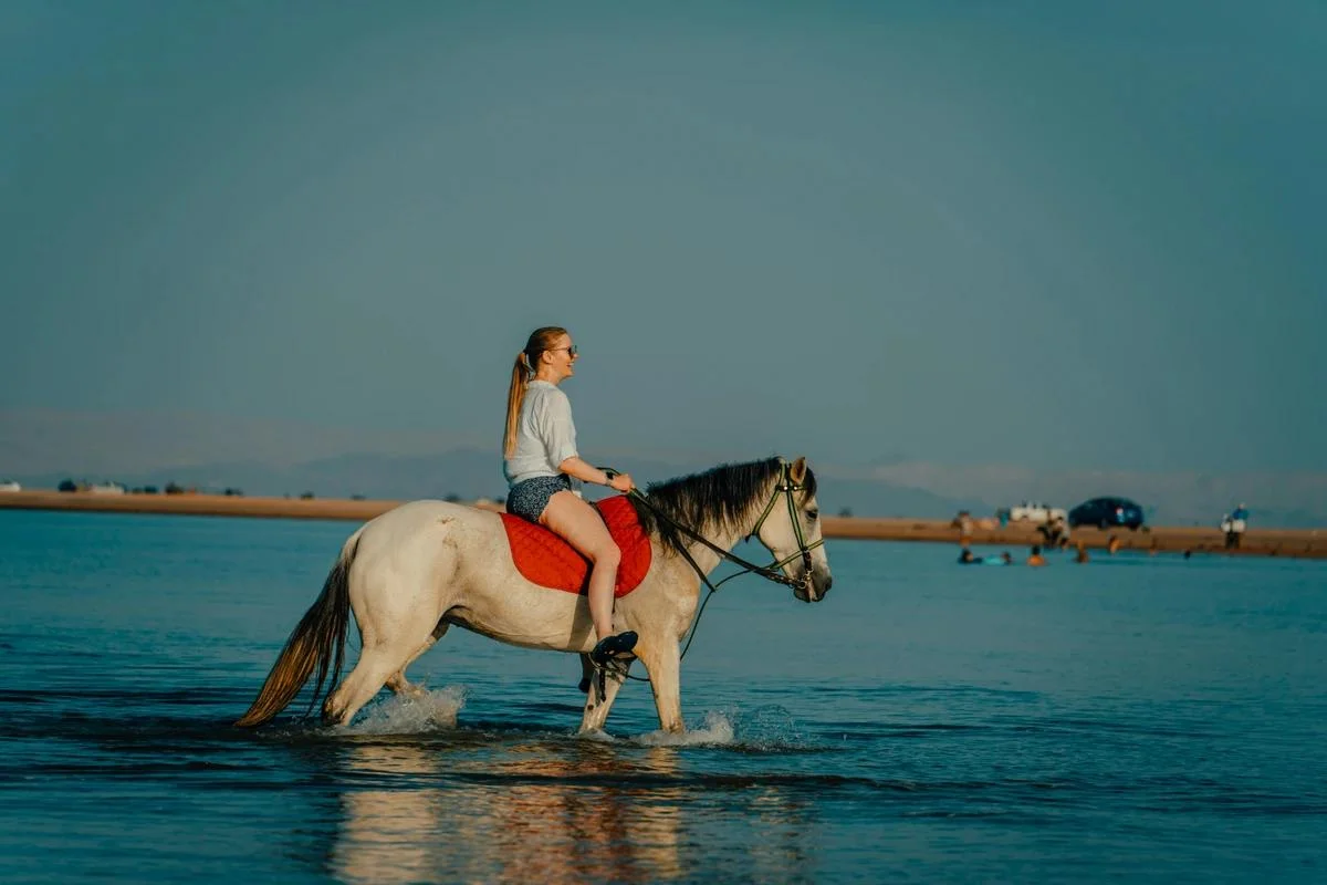 Конная прогулка по пустыне и побережью Красного моря (Шарм-эль-Шейх)