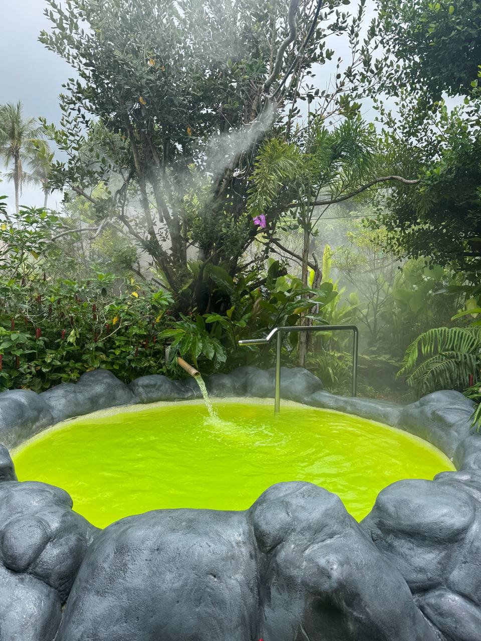 Трансфер в Мантра Форест СПА (туда-обратно)