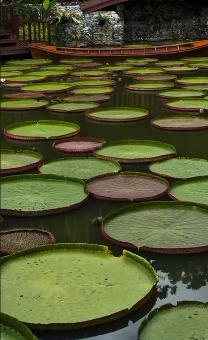 Мантра Спа + Самет Нангши и Белый Храм (Новинка! фототур, рус гид)