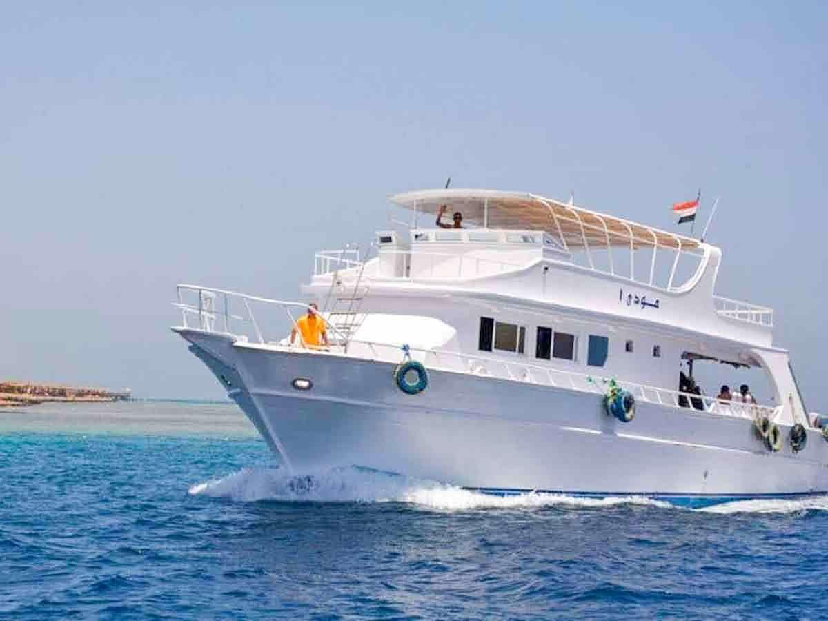 Дом дельфинов в Хургаде