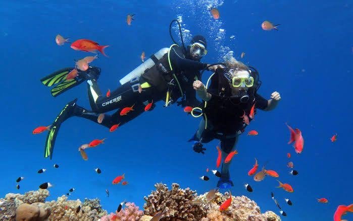 Дайвинг в Хургаде