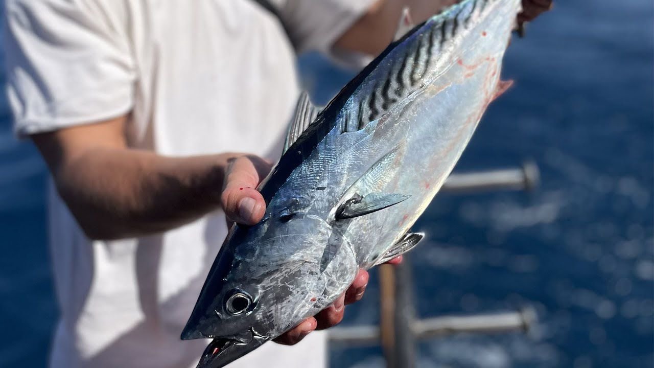Pesca di gruppo a Hurghada
